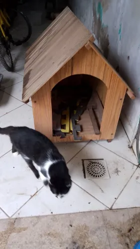 Vendo casinha pouco usada r$ 80. Retirar no local.