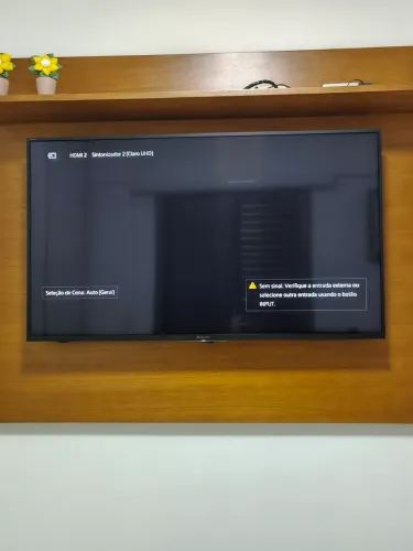 Smartv Sony Led 49 polegadas