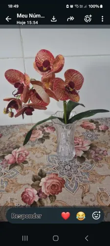Orquídea
