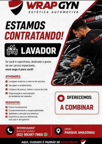 Vaga lavador