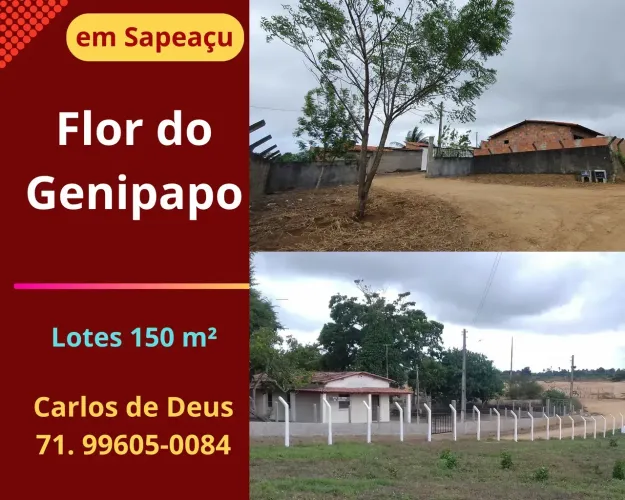Oportunidade: Loteamento Flor do Genipapo, lotes a partir de 150 m², em Sapeaçu