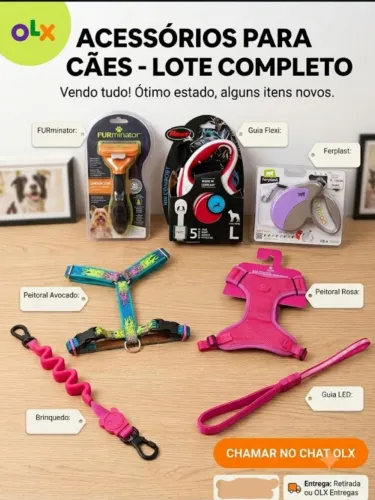ACESSÓRIOS PARA CÃES 