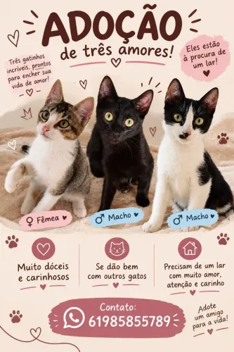 Precisam de uma família amorosa, já sofreram abandonados