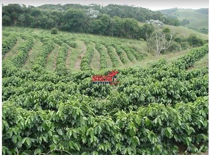 Fazenda/ Sítio/ Chácara para venda, na Colônia Vaz de Melo, em Viçosa - MG.