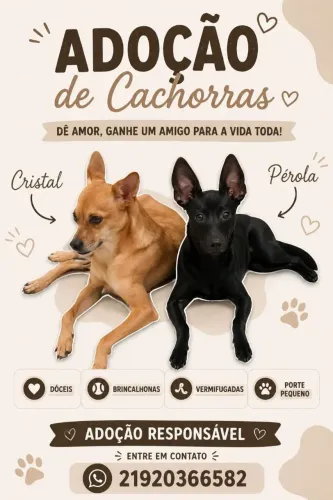 Doação