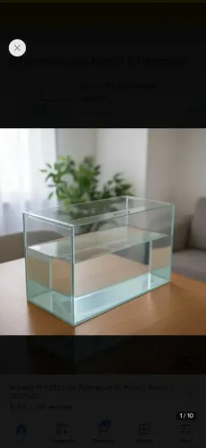 Aquario