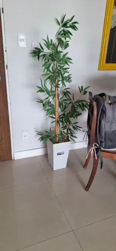 Planta decorativa