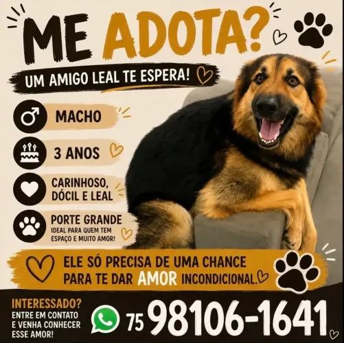 Adoção responsável 