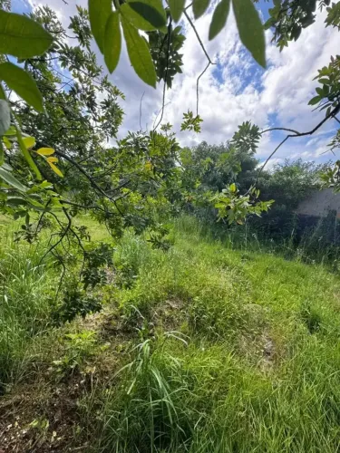 Terreno passagem do Maciambu prox as principais praias de Palhoça SC