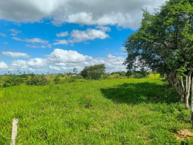 Oportunidade Única: Terreno Amplo com 6 Tarefas e minantes