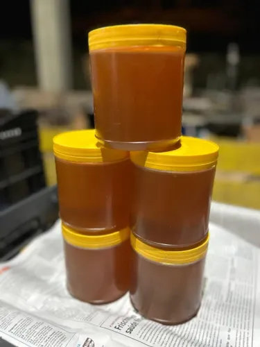 Ouro da Mata: Mel Silvestre Puro - Direto do Produtor. Apenas R$ 35,00 o quilo