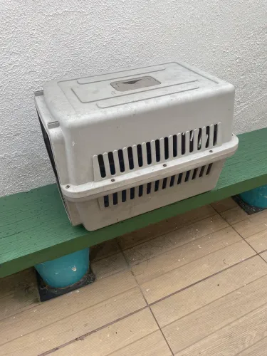 Caixa de transporte 