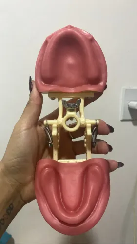 Manequim de Prótese Total