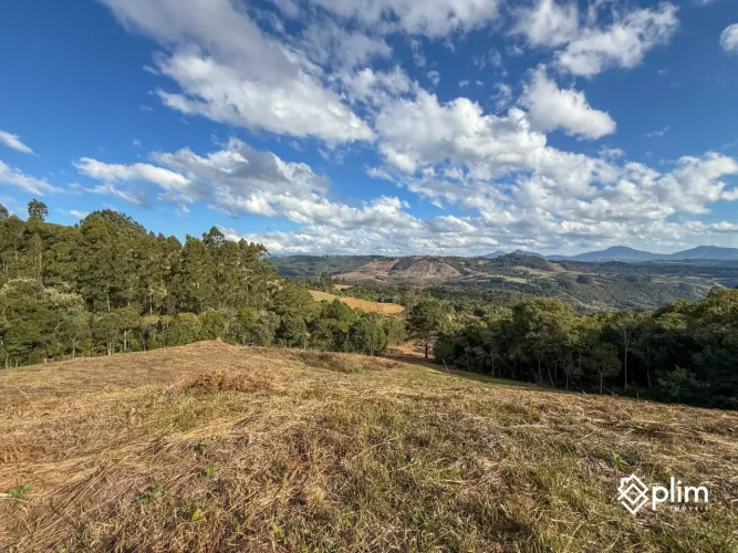 TERRENO DE 4,3 HECTARES COM RIACHO, NASCENTE EM ALFREDO WAGNER, SC