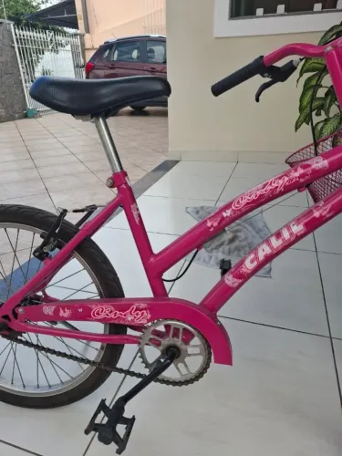 Bicicleta