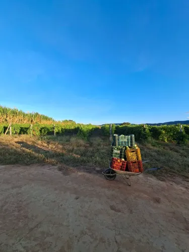 Chácara  sitio fazenda aceito troca por casa