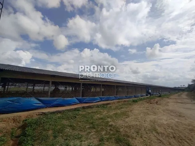 Fazenda/Sítios/Chácaras com 4 quartos em Alto José Leal