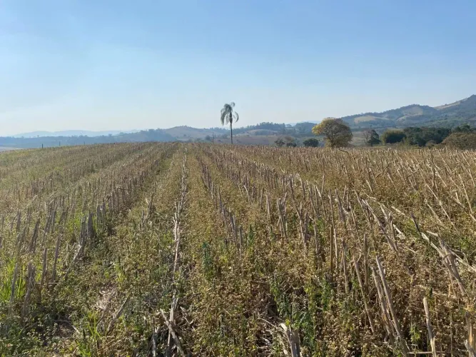 Sitio para Venda em Zona Rural de Ouro Fino - MG