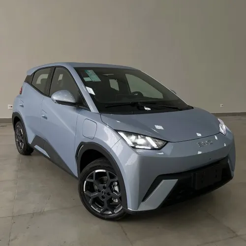 BYD Dolphin Mini (Elétrico) 2024