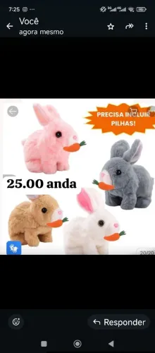 Colhinho musical e anda igual a coelho 