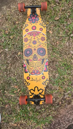 Skate long board