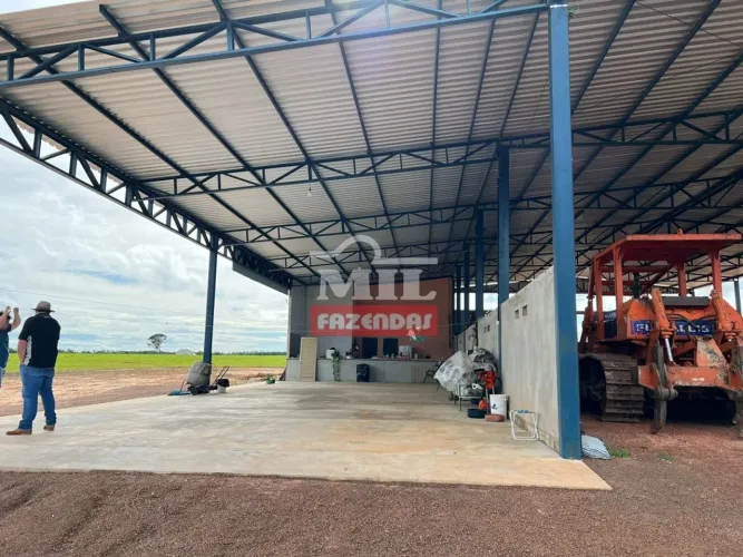 Fazenda Dupla Aptidão em Figueirópolis-TO.