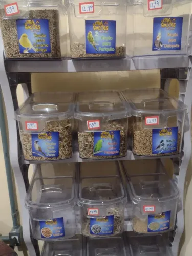 Dispenser de ração para pássaros