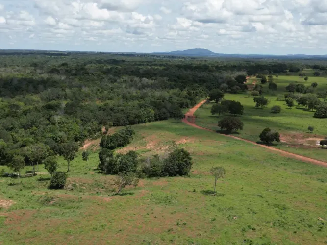 Fazenda 67  alqueires em Mutunopolis GO 50% em trama