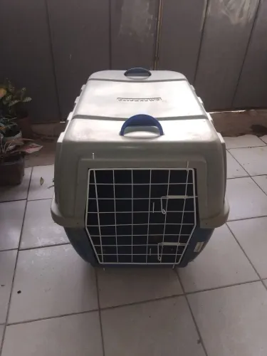 Casinha de cachorro ?