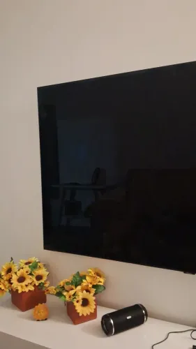 Smart tv samsung 65 polegadas, qled, 4k..... 2 anos com tela queimada, placas etc perfeito