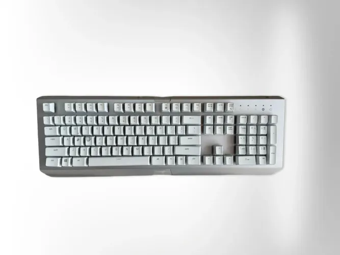 Teclado Razer (Blackwidow X Chroma)