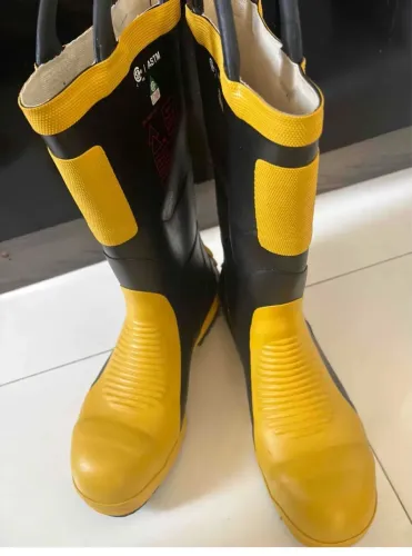 Bota
