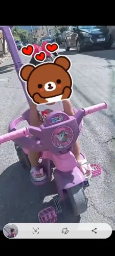 Totoca patrulha canina 