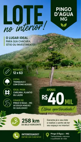 Lote interior