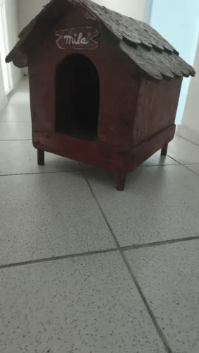 Casinha pet medio