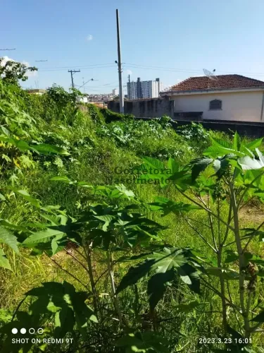 Terreno para alugar, 500 m² por R$ 1.500,00/mês - Jardim das Indústrias - Jacareí/SP