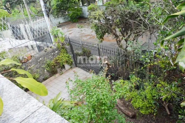 Casa de vila para venda na Aclimação com 200m² construídos. Casa segura em rua arborizada,