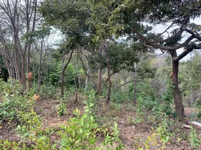 Terreno rural 10ha, com barracão, com riacho no fundo, bela vista, Jaboticatubas.