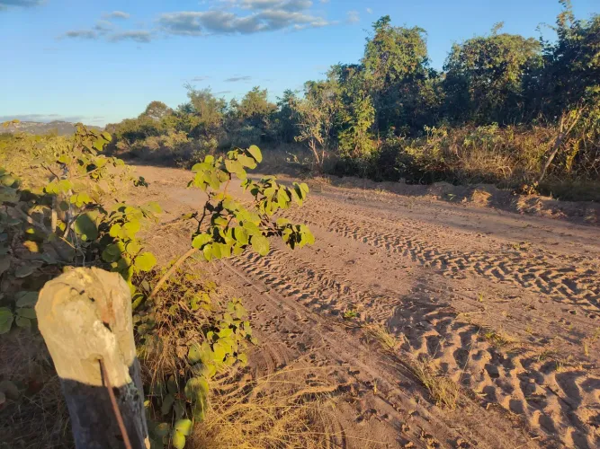 FAZENDA COM 600HEC PRA CAFE, EM GRAO MOGOL!!
