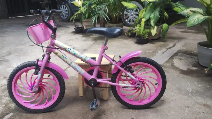 BICICLETA INFANTIL