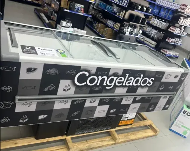 Ilha de congelados Fricon 2M