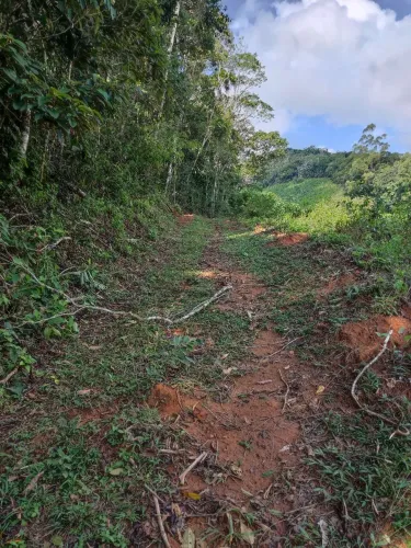 Ótima oportunidade. Sítio 20.000 M2 a 5 km de Araguaia, Marechal Floriano