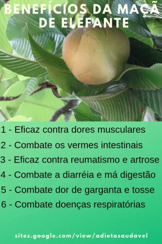 Maçã de elefante 
