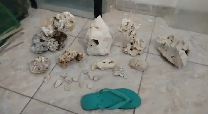 Rochas para aquário marinho