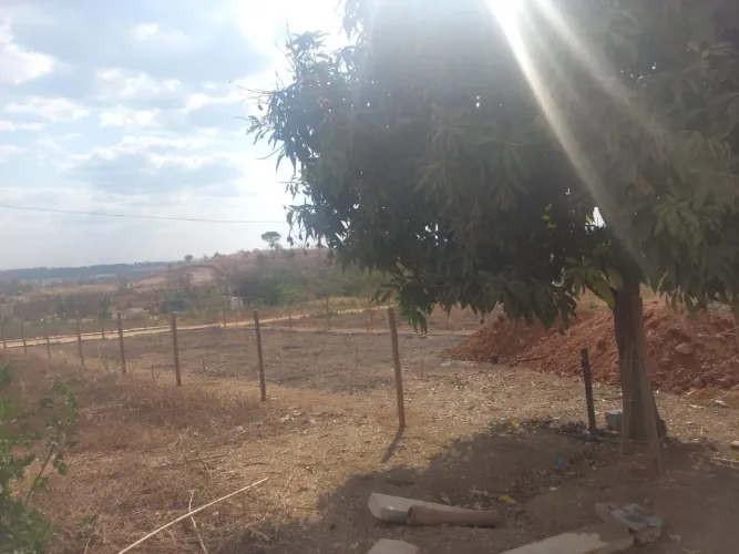 Lote em samambaia 