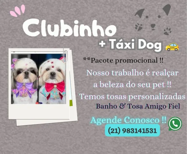 Banho e Tosa Amigo Fiel