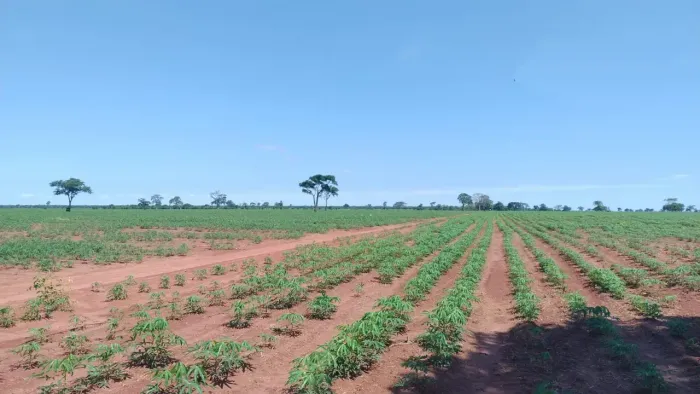 Fazenda a venda no MS. Anaurilandia.