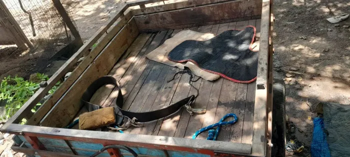 Carroça   de trabalho animal