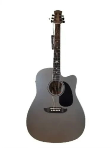 VIOLAO ELETRO-ACUSTICO WALDMAN TDCE-141 GP
