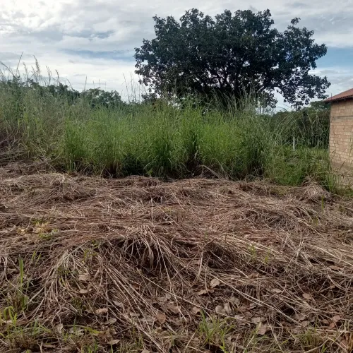 Vende se lote no setor geovamira 